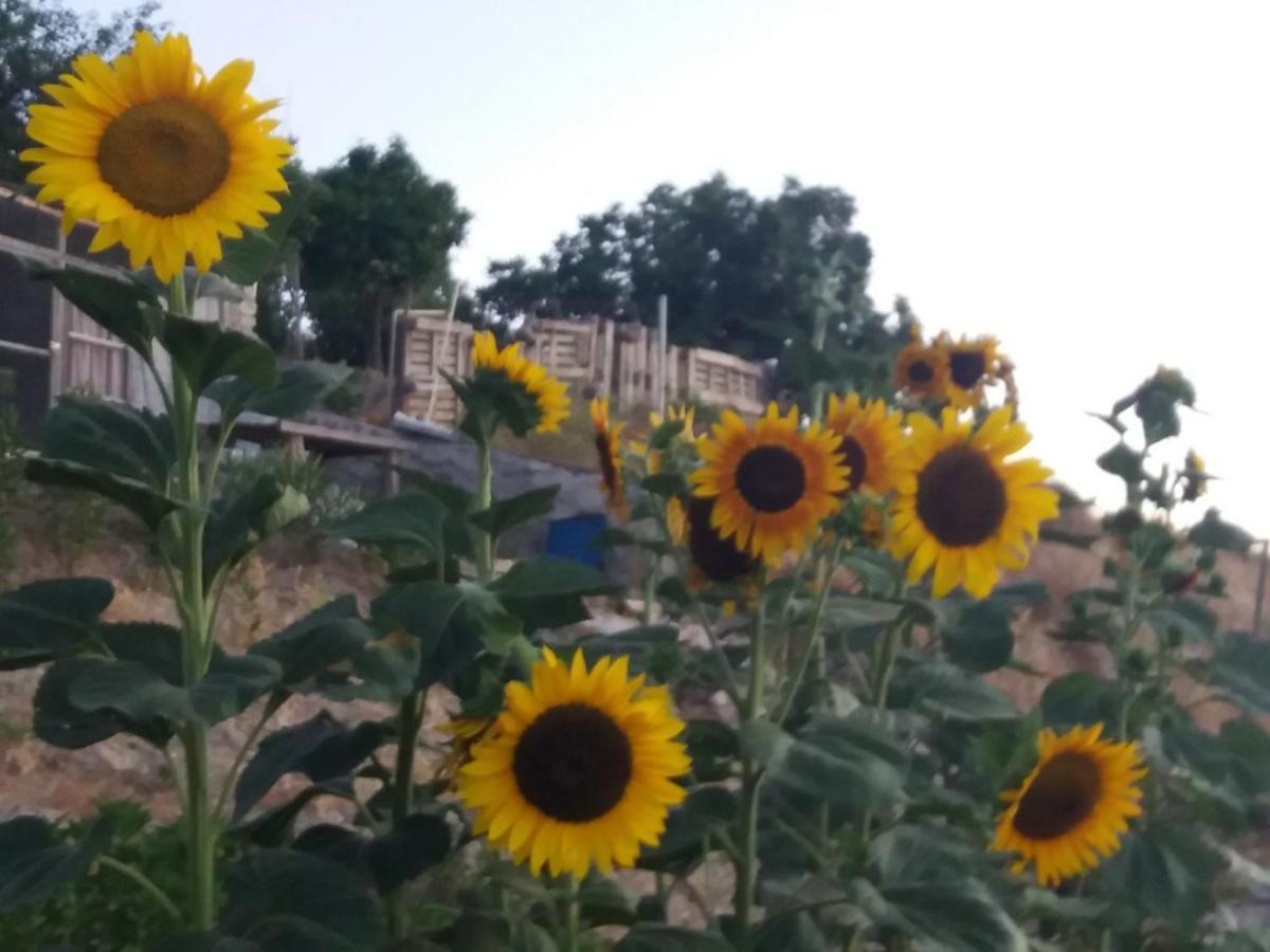 菲蒂Georgia'S House住宿加早餐旅馆 外观 照片